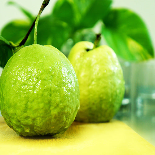 New Lalit Guava Fruit Plant - Naturemart.online