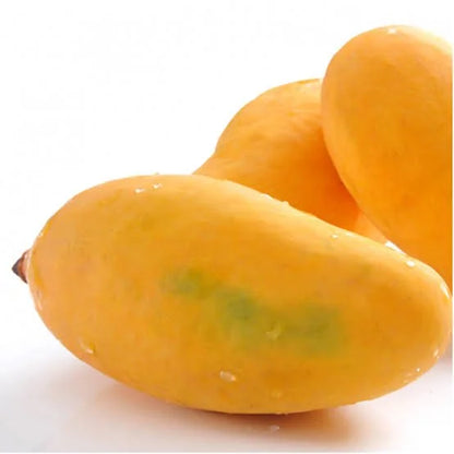 Aswina Mango Fruit Plant (Grafted) - Naturemart.online