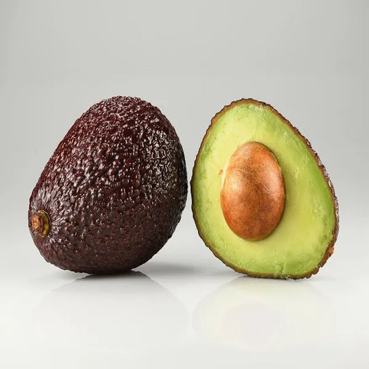 Exotic Grafted Avocado Fruit Plant - Naturemart.online