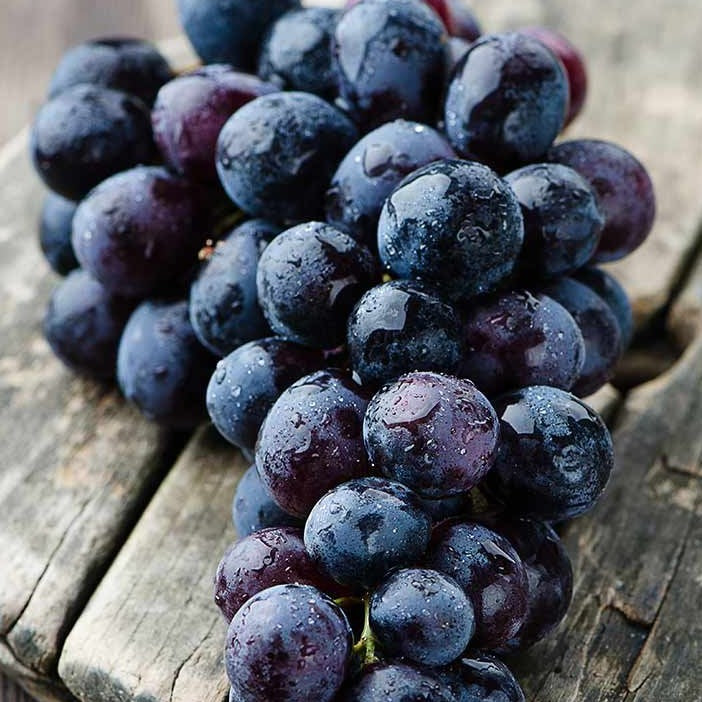 Exotic Black Grapes Fruit Plants - Naturemart.online