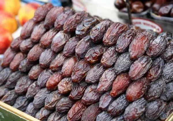 Arabian hybrid date plant