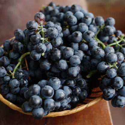 Exotic Black Grapes Fruit Plants - Naturemart.online