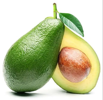 Exotic Grafted Avocado Fruit Plant - Naturemart.online