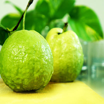 New Lalit Guava Fruit  Plant - Naturemart.online