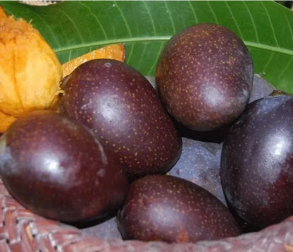 Kasturi Black Mango