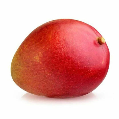 Apple Mango(Grafted) Fruit Plant - Naturemart.online