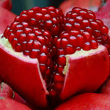 Bhagwa variety of pomegranate