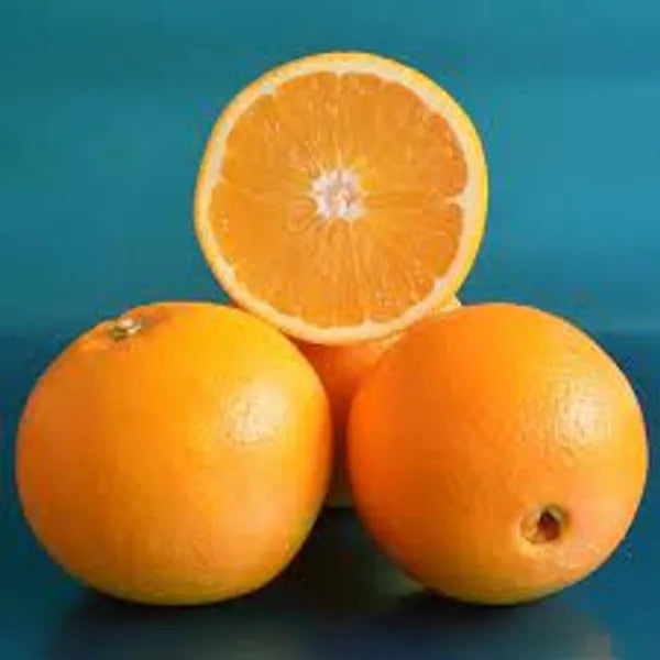 Washington Navel Orange Plant-Grafted - Naturemart.online